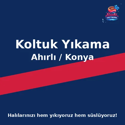 Ahırlı Koltuk Yıkama