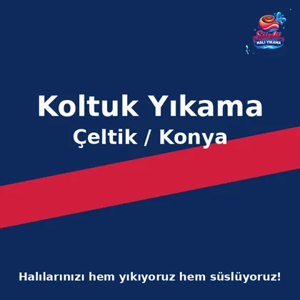 Çeltik Koltuk Yıkama
